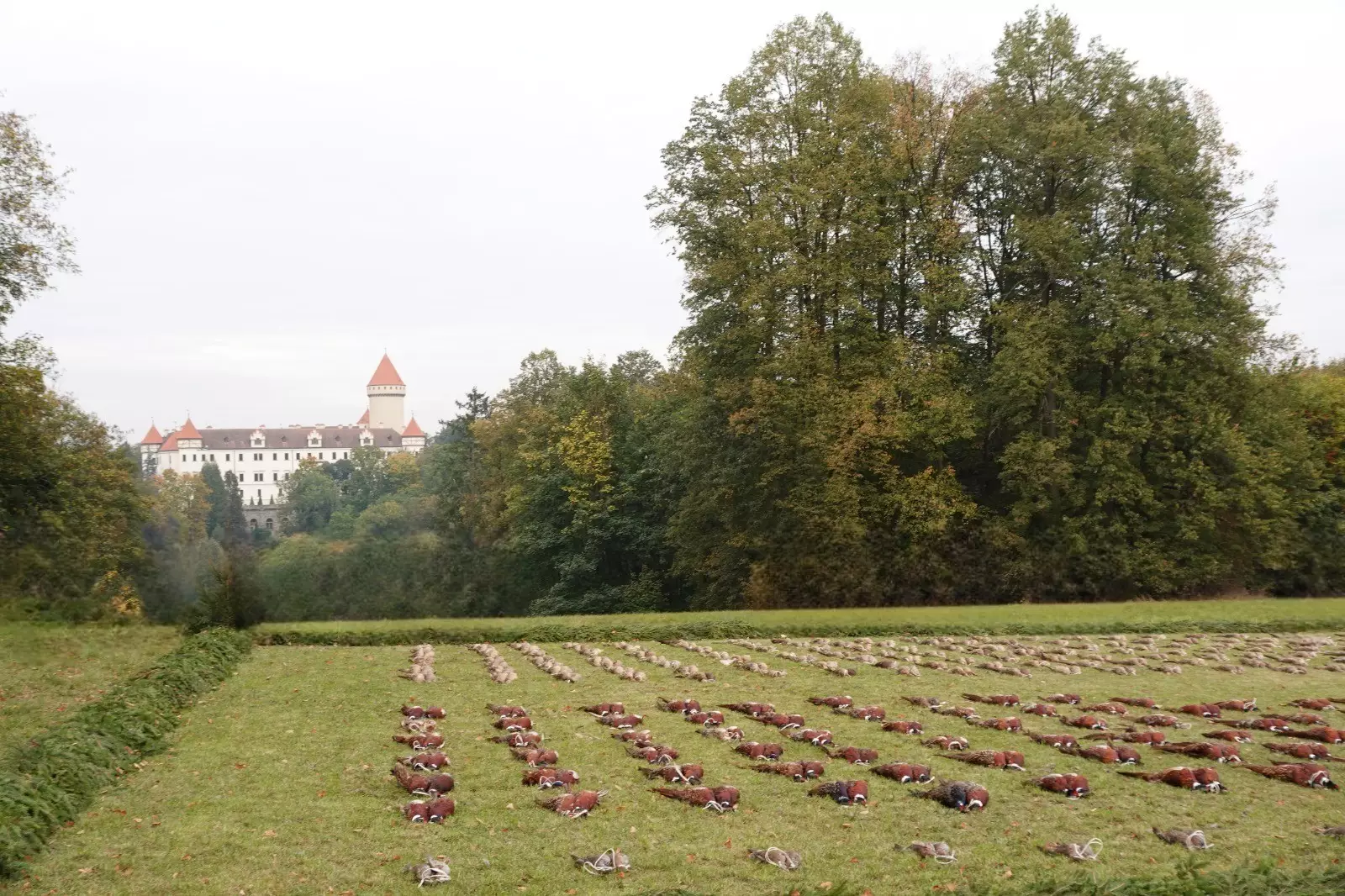 Daily bag with castle