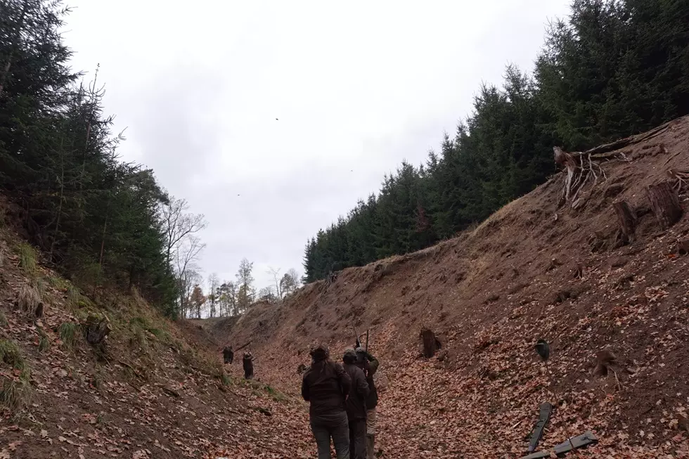 High challenging drive in Czechia