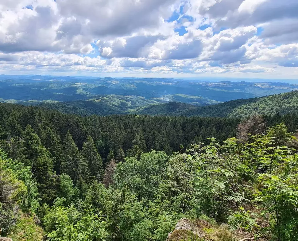 Slovakia hunting area free range