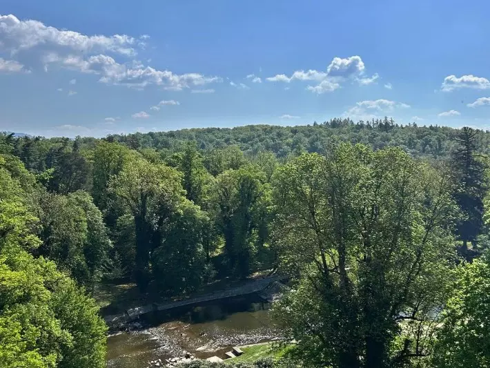 One hunting area for white stag