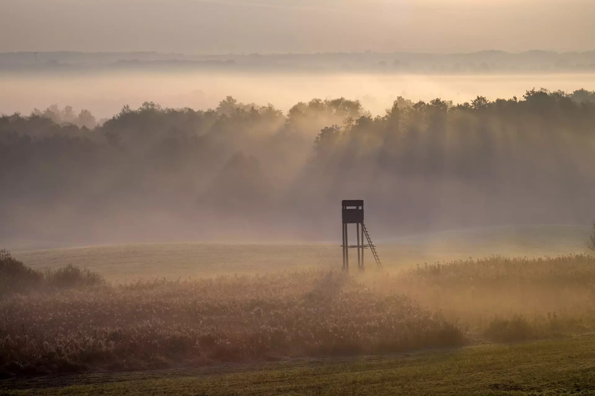 Caza en Hungría en las mejores zonas a precios competitivos